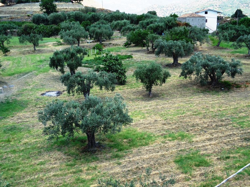 Ciuscia Calatabiano Exterior foto